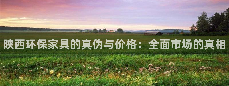 意昂5(KGAME)平台注册网址：陕西环保家具的真伪与价格：