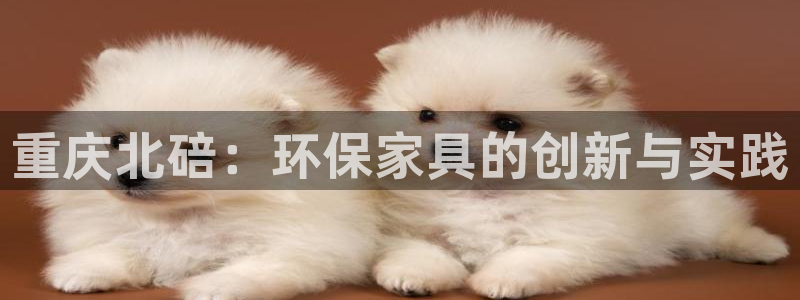 意昂5(KGAME)平台代理：重庆北碚：环保家具的创新与实践