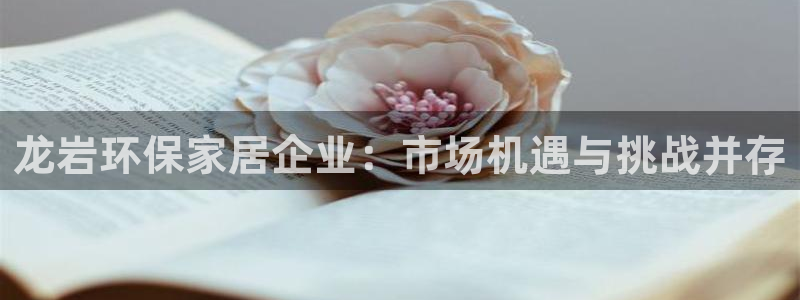 意昂5(KGAME)平台可以提款吗：龙岩环保家居企业：市场机