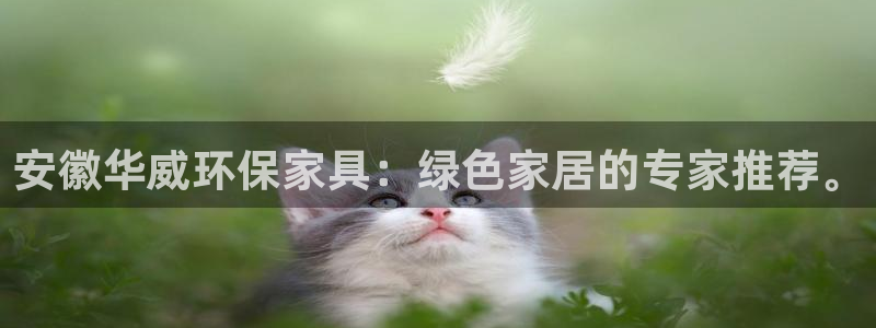 意昂5(KGAME)平台一安全注册入口：安徽华威环保家具：绿