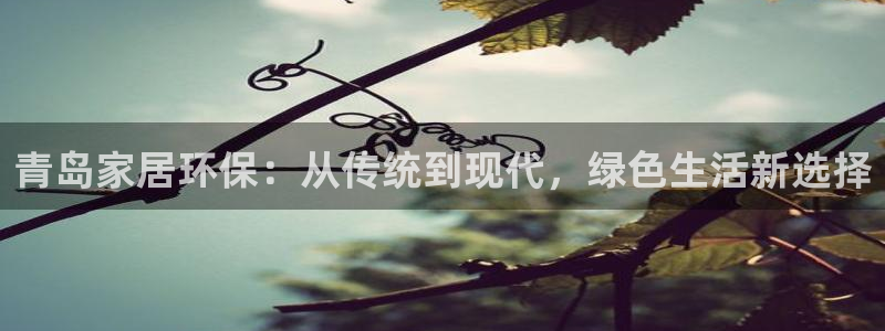 意昂5(KGAME)平台怎么注册：青岛家居环保：从传统到现代