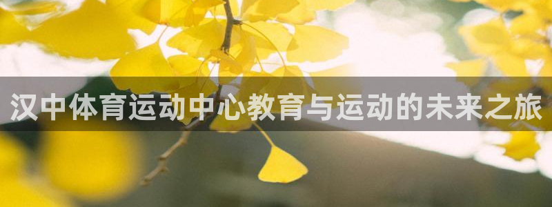 betway西汉姆：汉中体育运动中心教育与运动的未来之旅