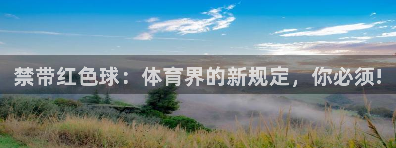 必威betway西汉姆联：禁带红色球：体育界的新规定，你必须!