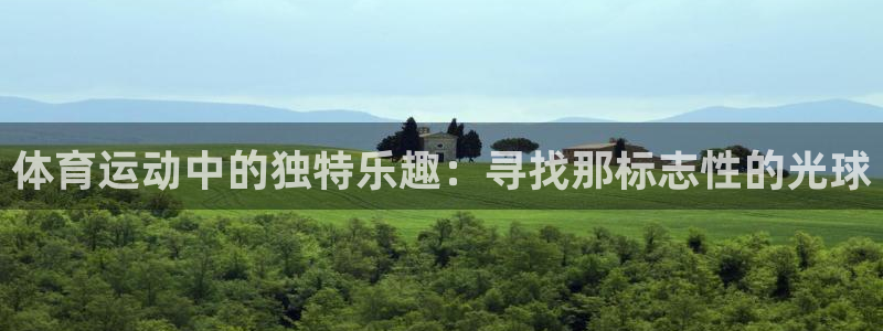 betway西汉姆：体育运动中的独特乐趣：寻找那标志性的光球