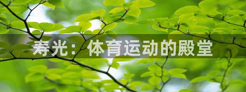 betway西汉姆官网：寿光：体育运动的殿堂