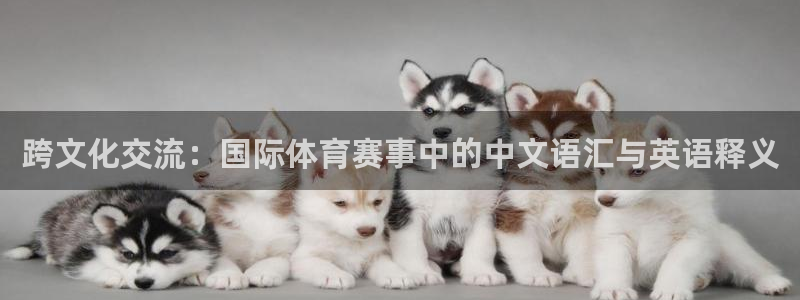 betway西汉姆官网：跨文化交流：国际体育赛事中的中文语汇与英语释义