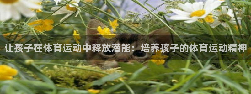 betway西汉姆联：让孩子在体育运动中释放潜能：培养孩子的体育运动精神